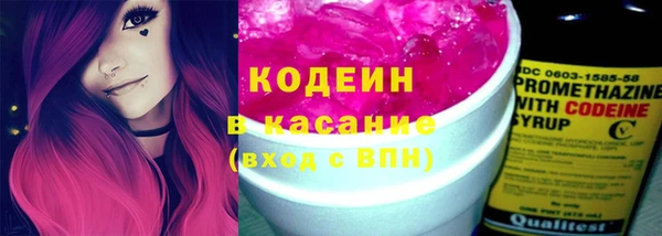 ГАЛЛЮЦИНОГЕННЫЕ ГРИБЫ Вяземский