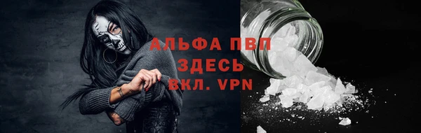 ГАЛЛЮЦИНОГЕННЫЕ ГРИБЫ Вяземский