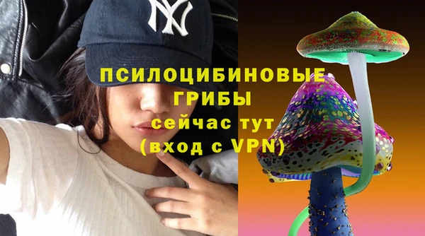 стафф Вязники