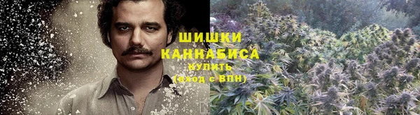 ГАЛЛЮЦИНОГЕННЫЕ ГРИБЫ Вяземский