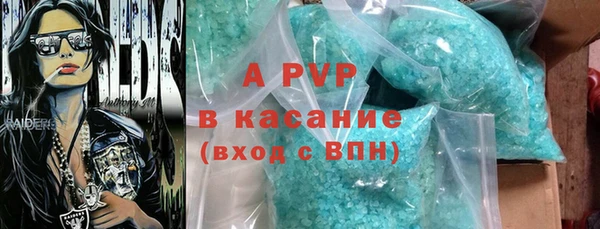 ГАЛЛЮЦИНОГЕННЫЕ ГРИБЫ Вяземский
