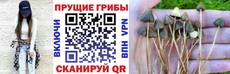 Купить где  Новоалтайск  Псилоцибиновые грибы мухоморы 