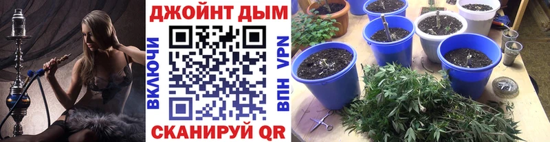 Купить закладки  Новоалтайск  Марихуана Amnesia 